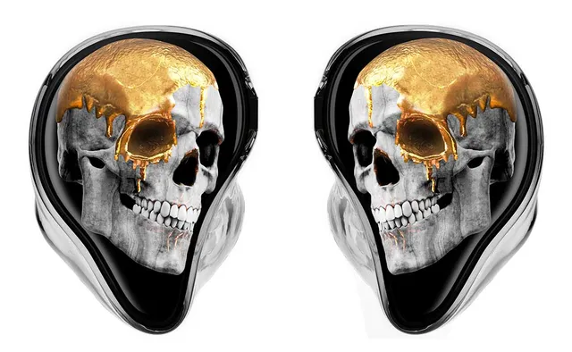 ultimate-ears-pro-switch-godhood-fa-ades-interchangeables-pour-iem image 1