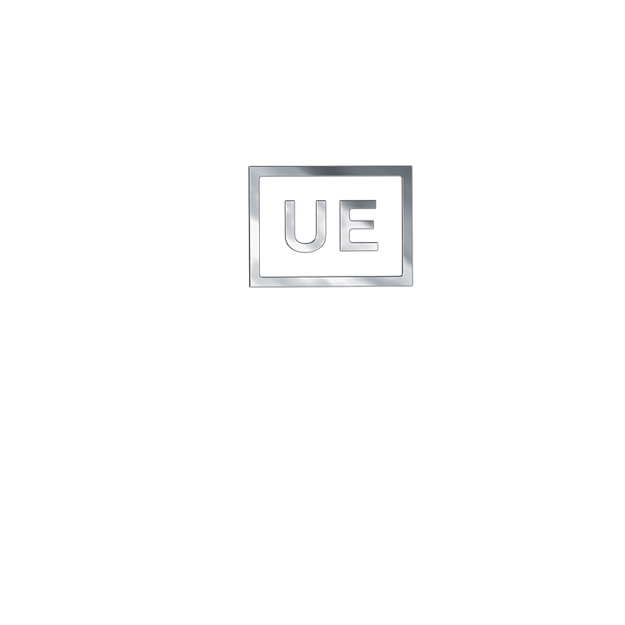 ultimate-ears-pro-engravings-gravure-logo-personnalis-e image 1