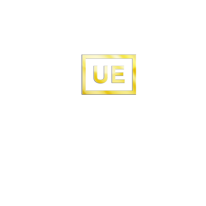 ultimate-ears-pro-engravings-gravure-logo-personnalis-e image 3
