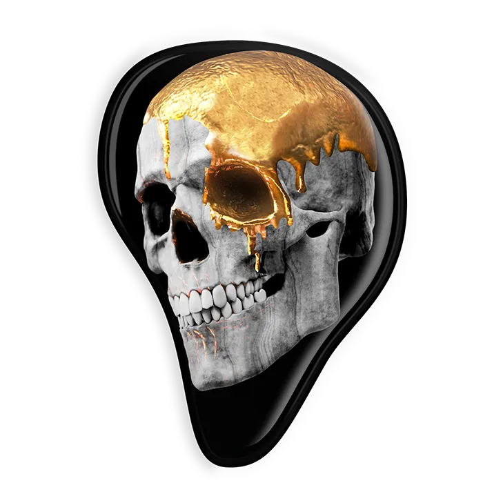 ultimate-ears-pro-limited-edition-faceplates-plaque-configurateur-couleur-sans-l image 1